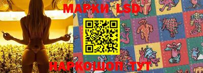 СК Абакан