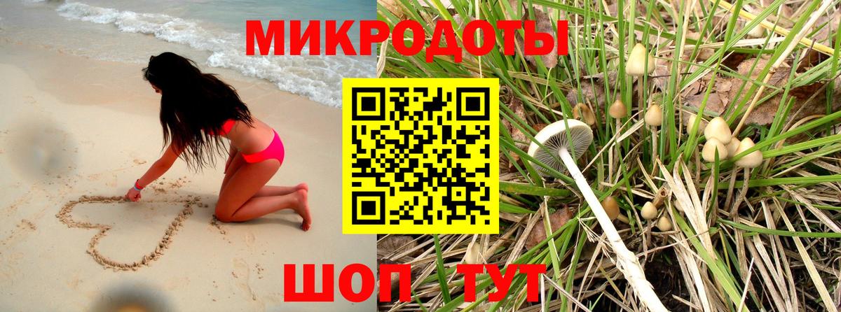 Галлюциногенные грибы Psilocybine cubensis  Вход с VPN  хочу   Галлюциногенные грибы мухоморы  Азнакаево 
