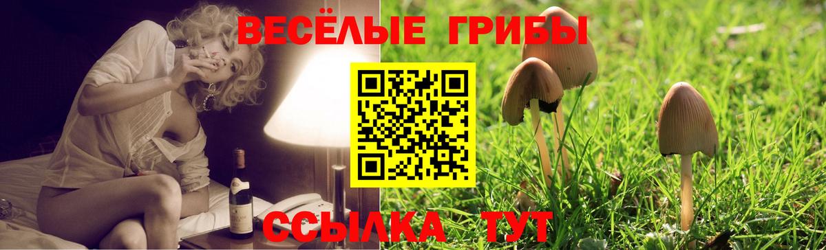 Галлюциногенные грибы Psilocybe Азнакаево